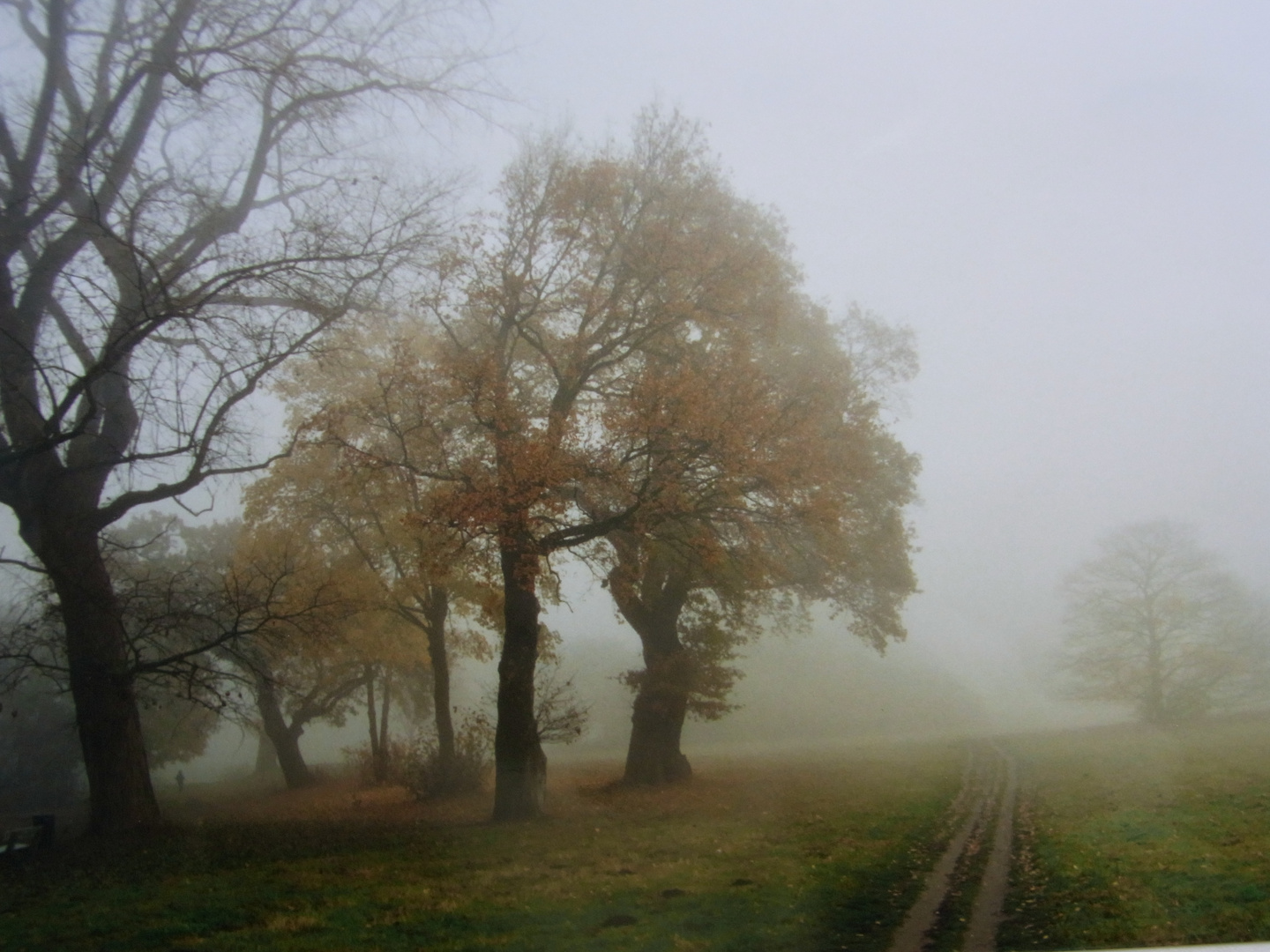 Herbst