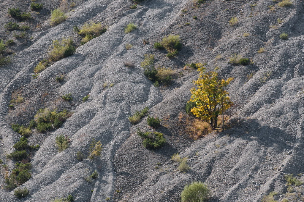 Herbst