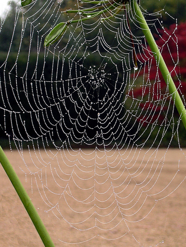 Herbst