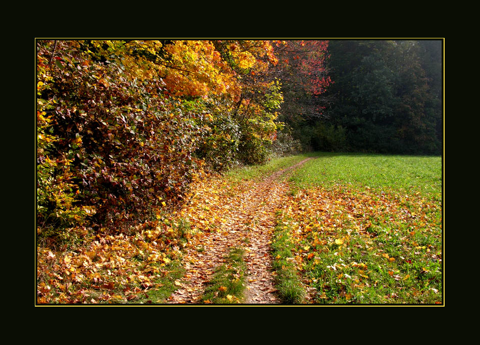 Herbst