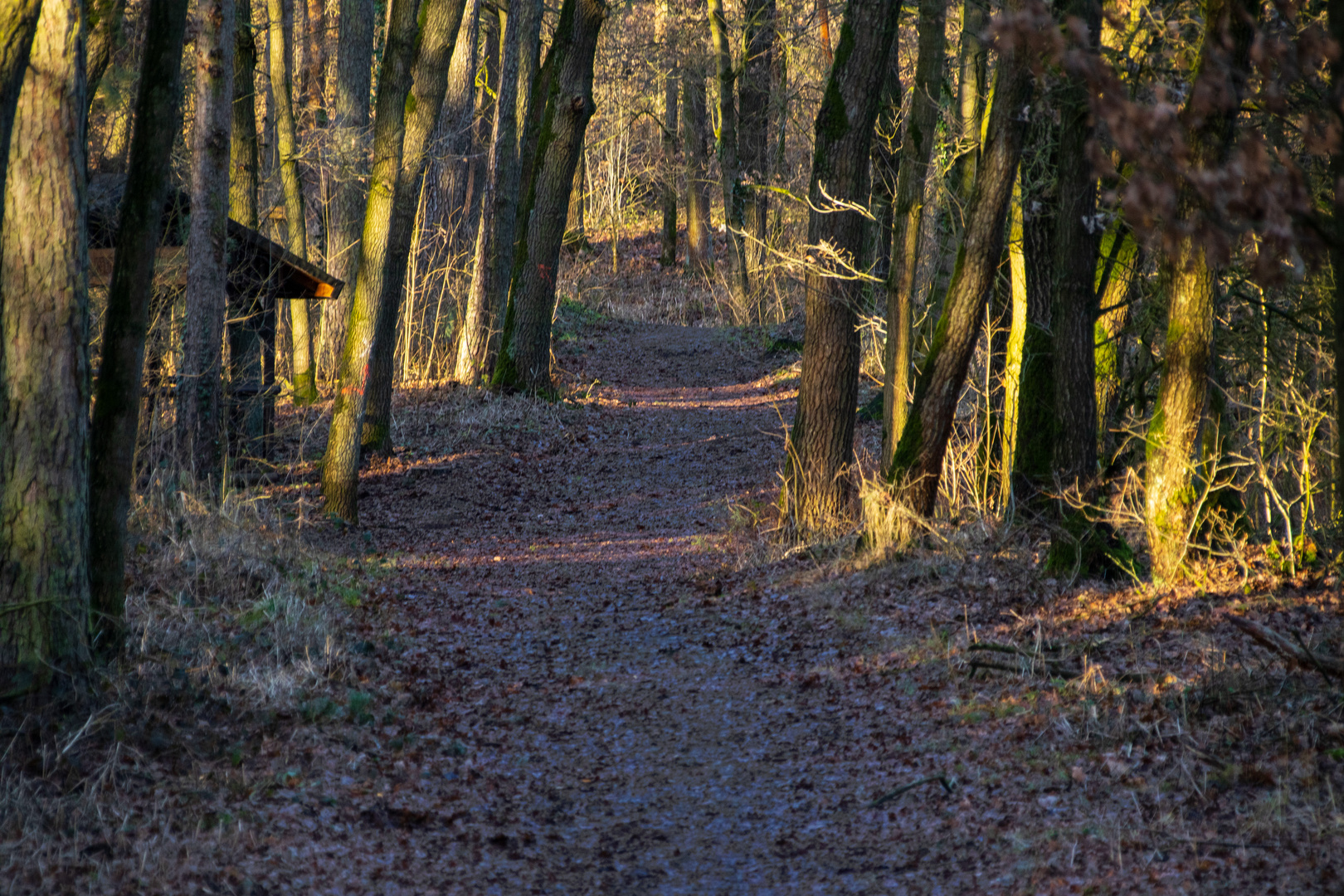 Herbst