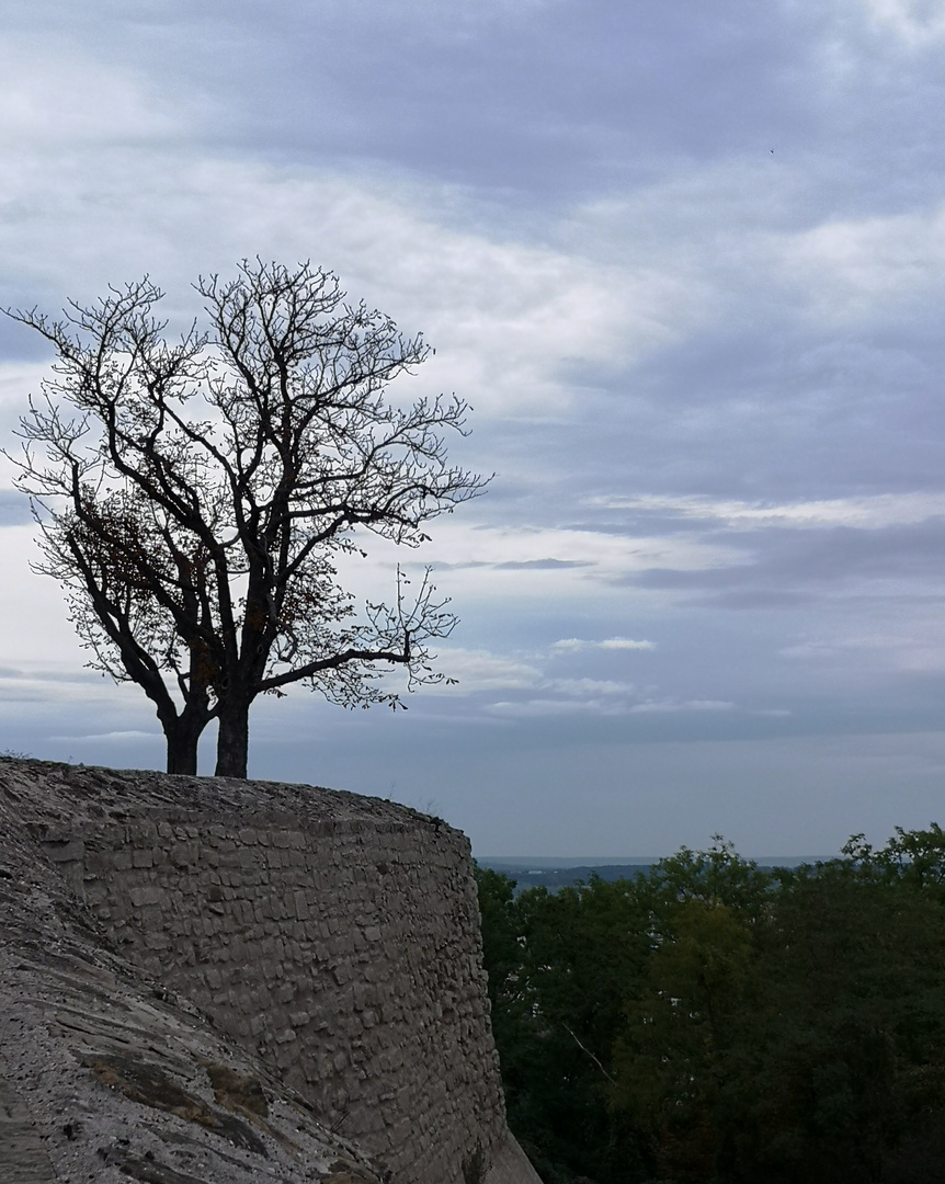 Herbst