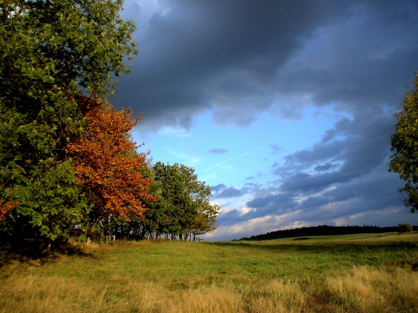 Herbst