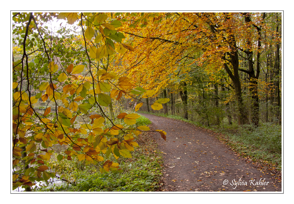 Herbst 6