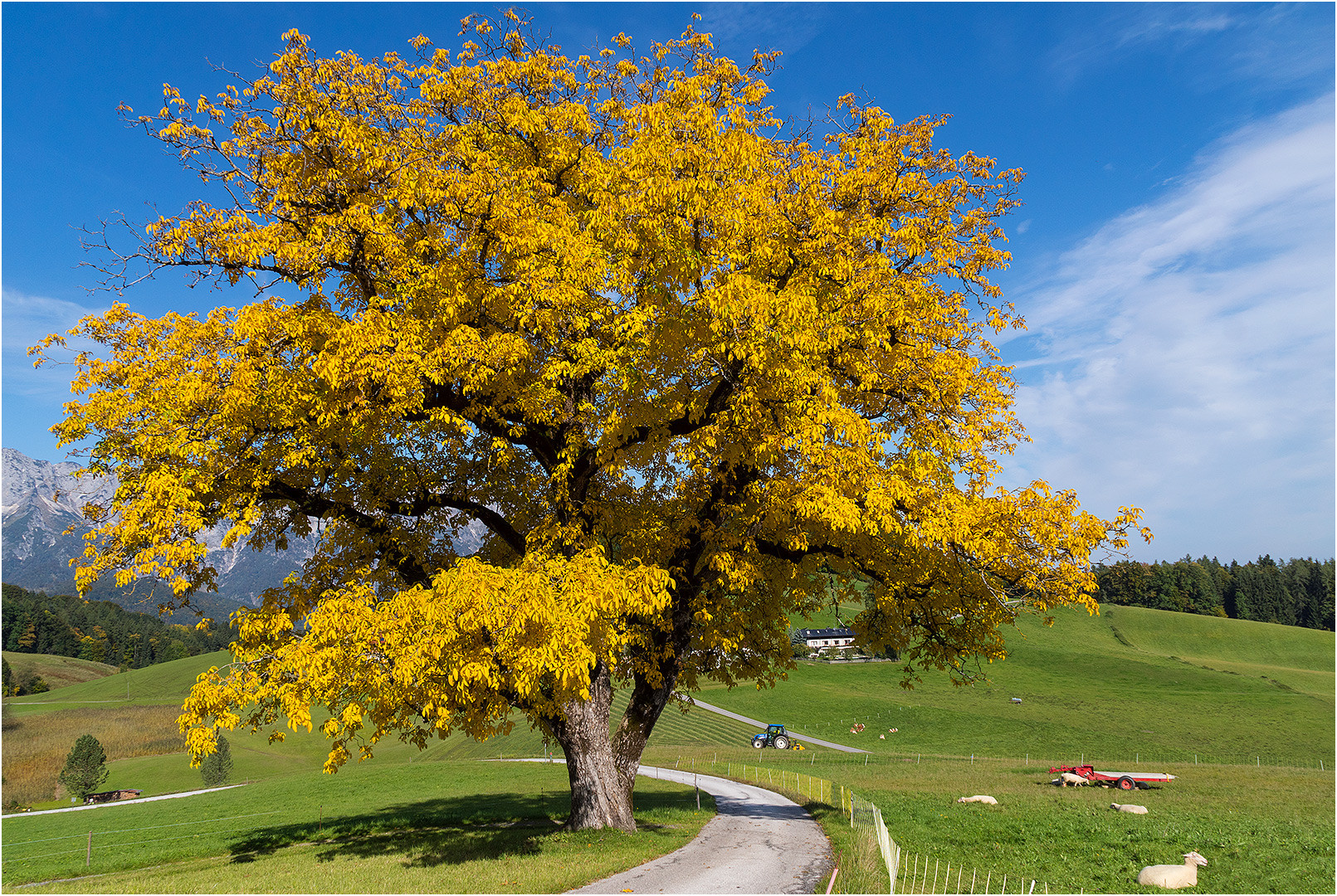 Herbst