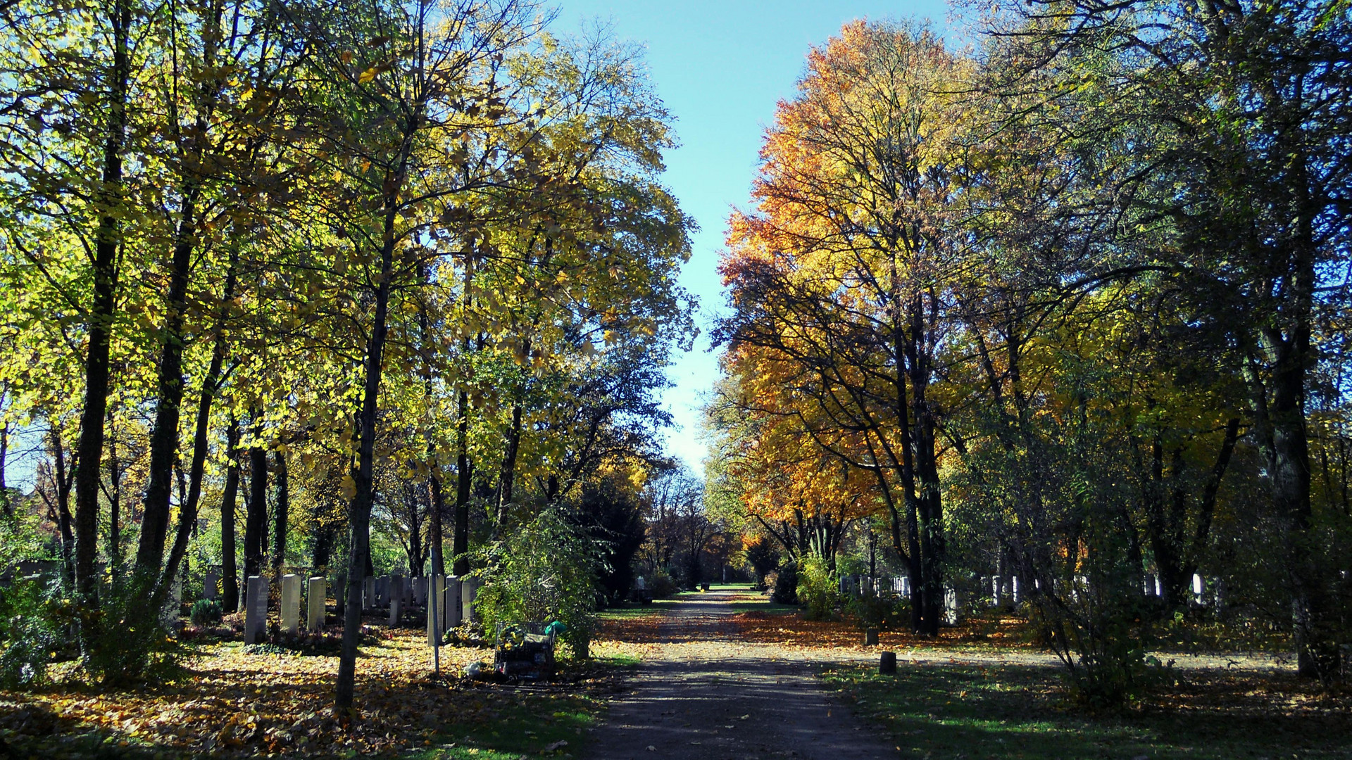 Herbst