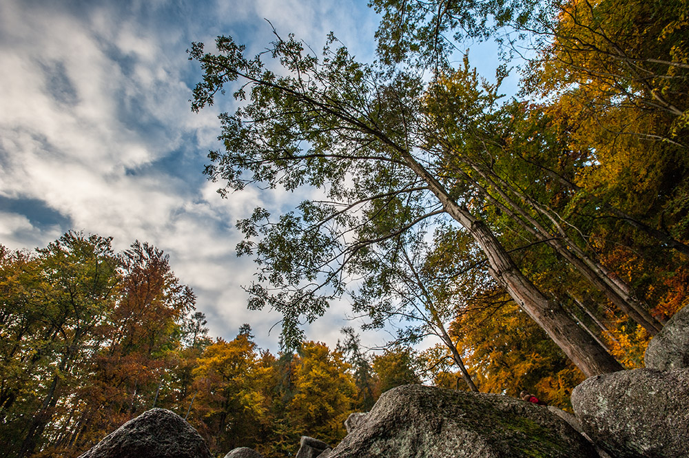 Herbst