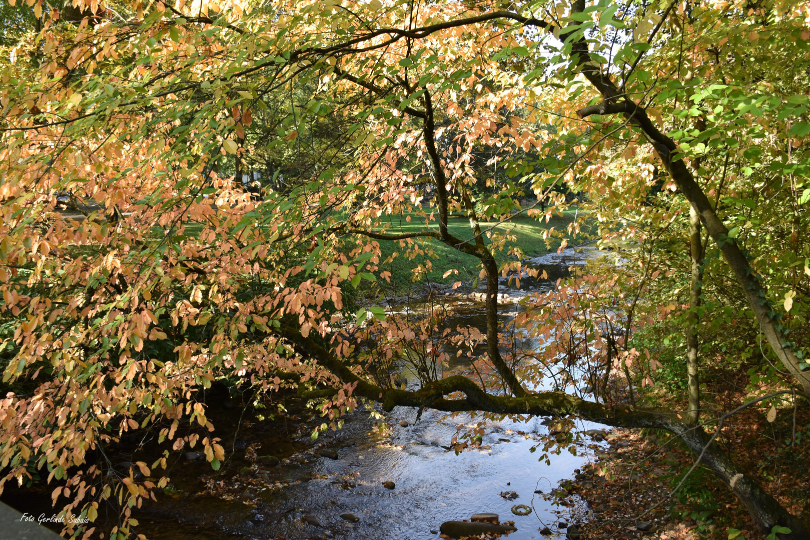 herbst