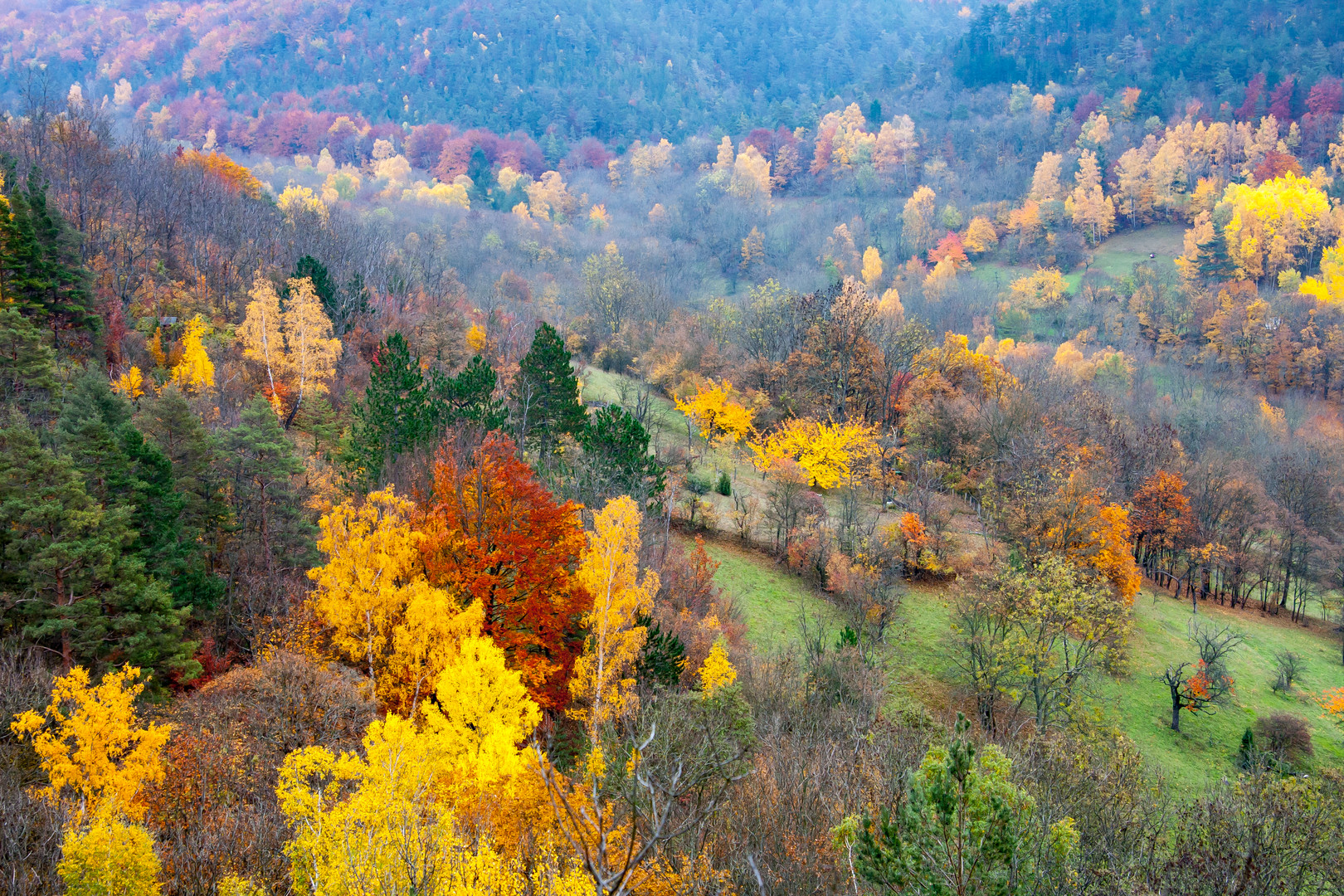 Herbst