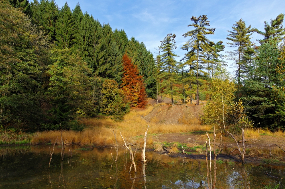 Herbst