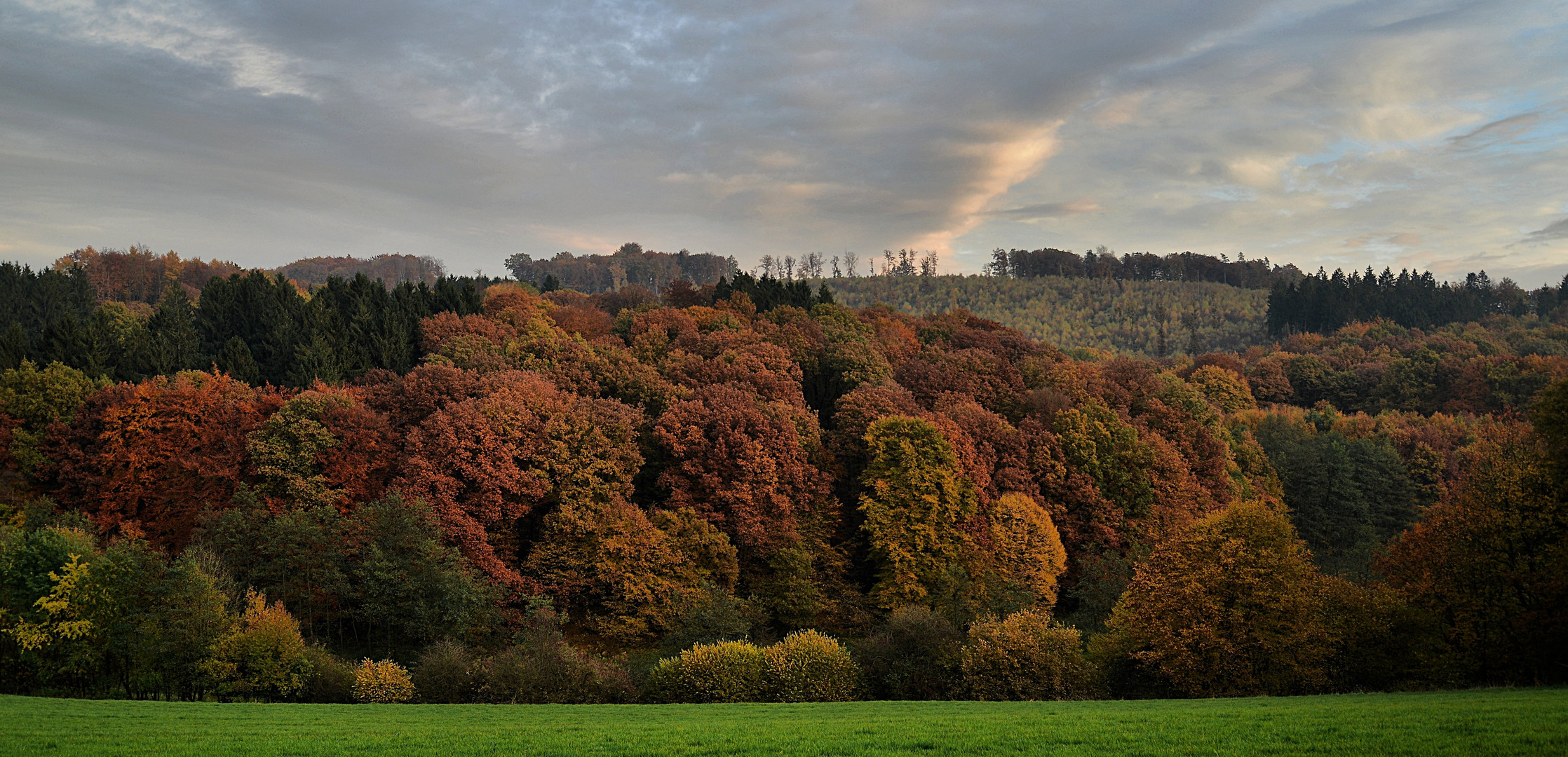 HERBST