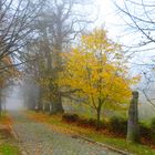 Herbst 66