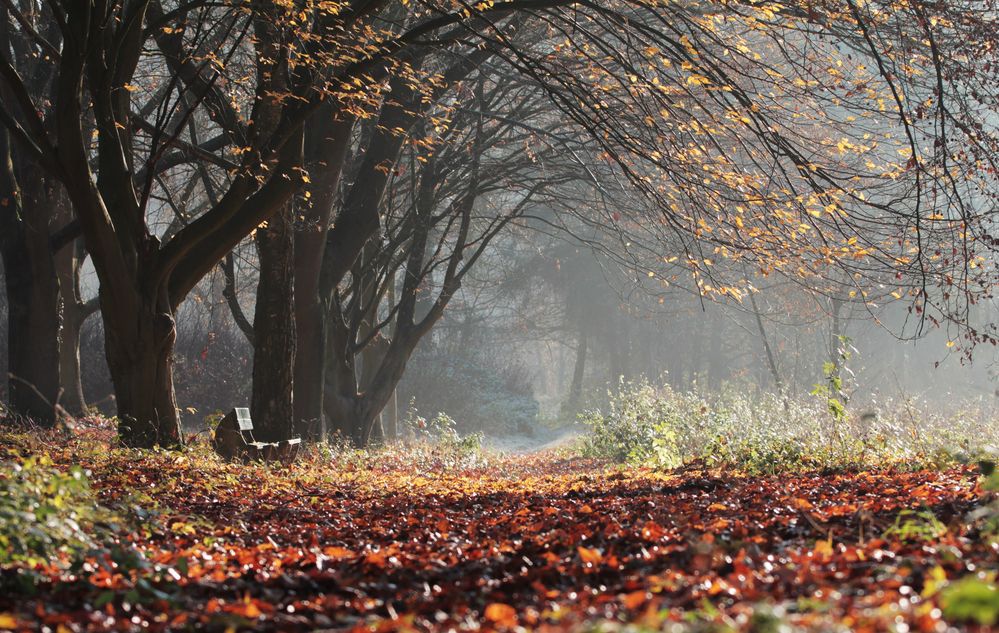 Herbst