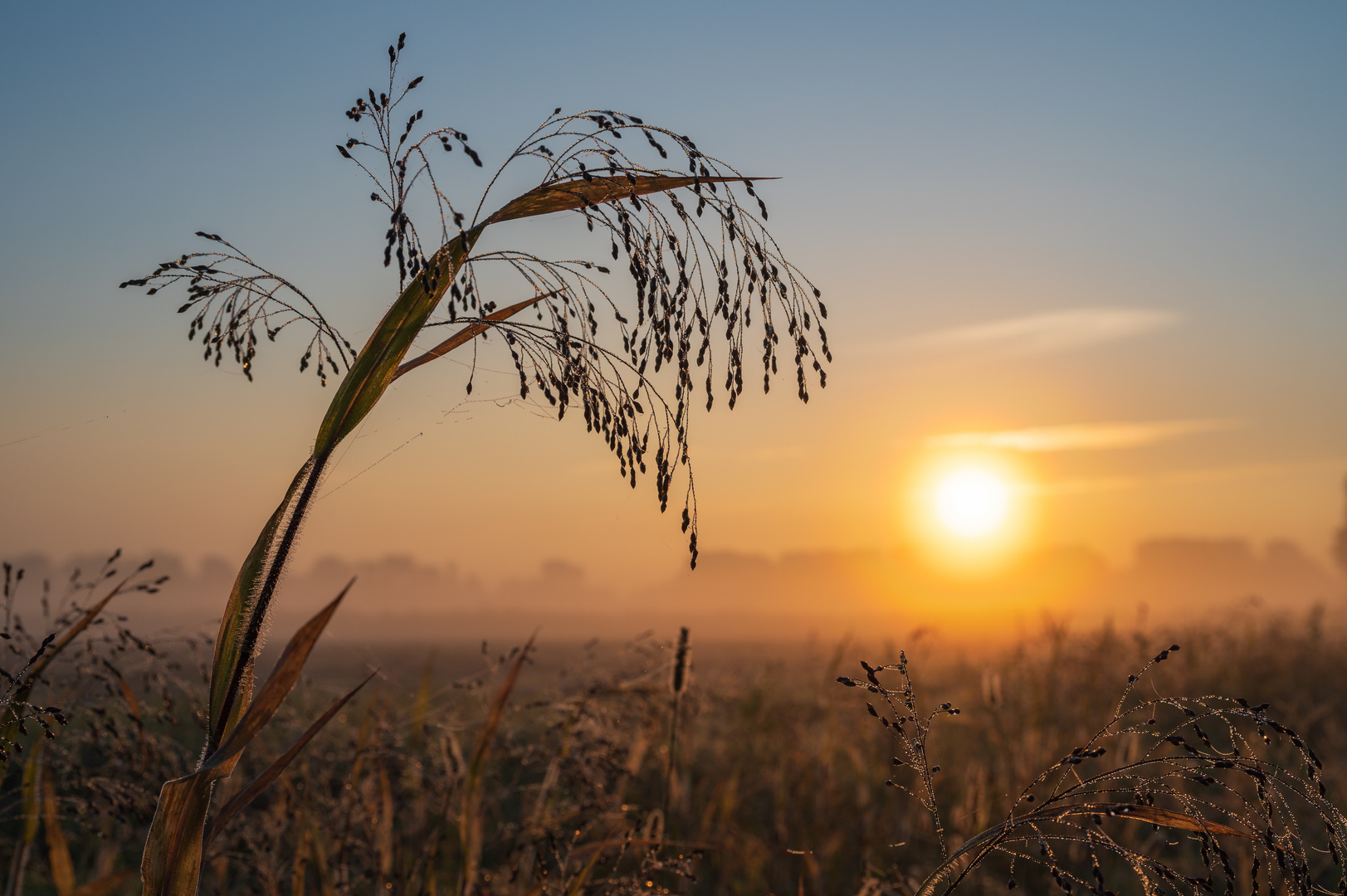 Herbst