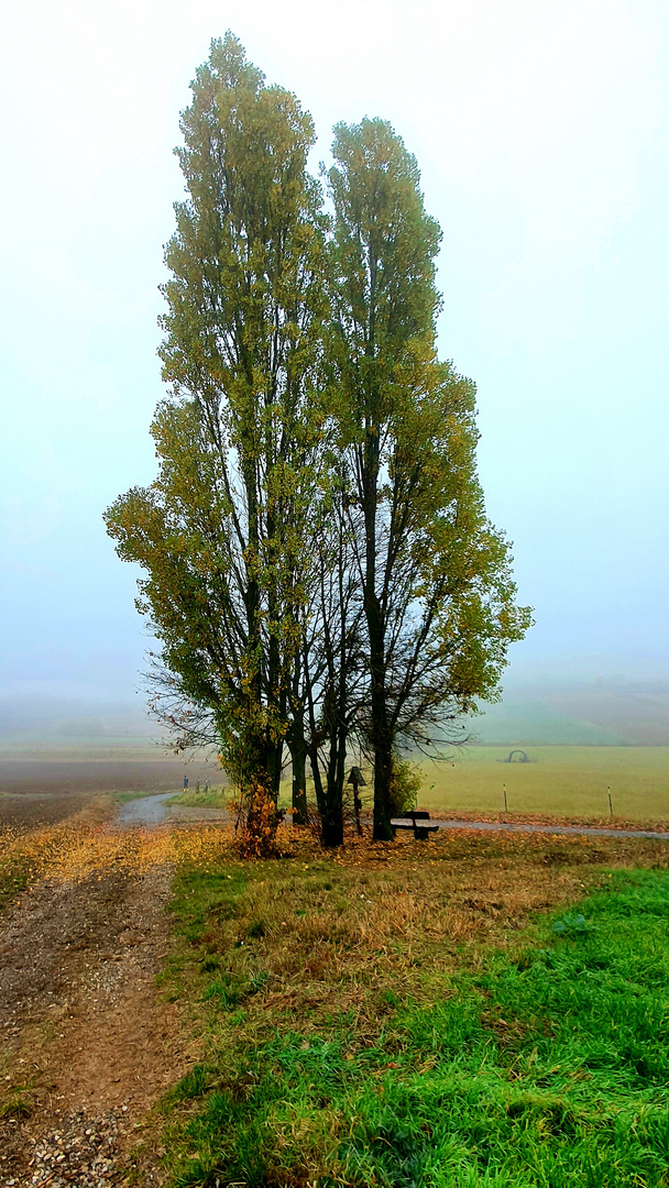 Herbst