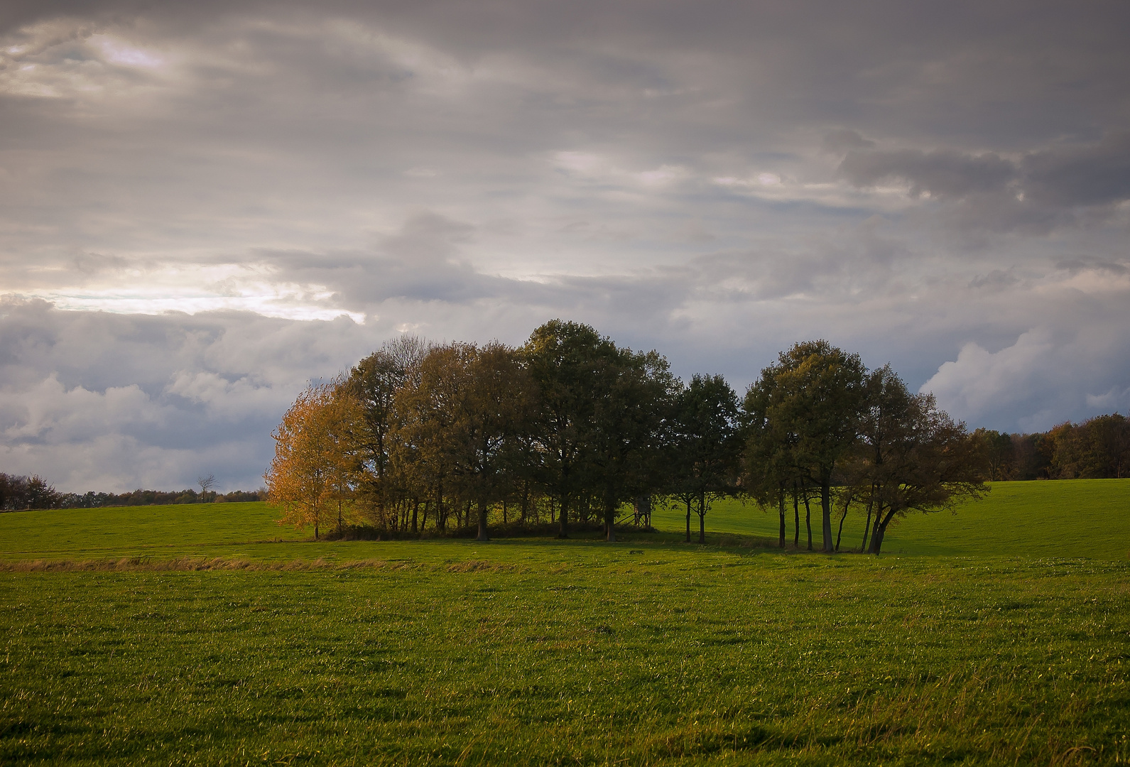 Herbst