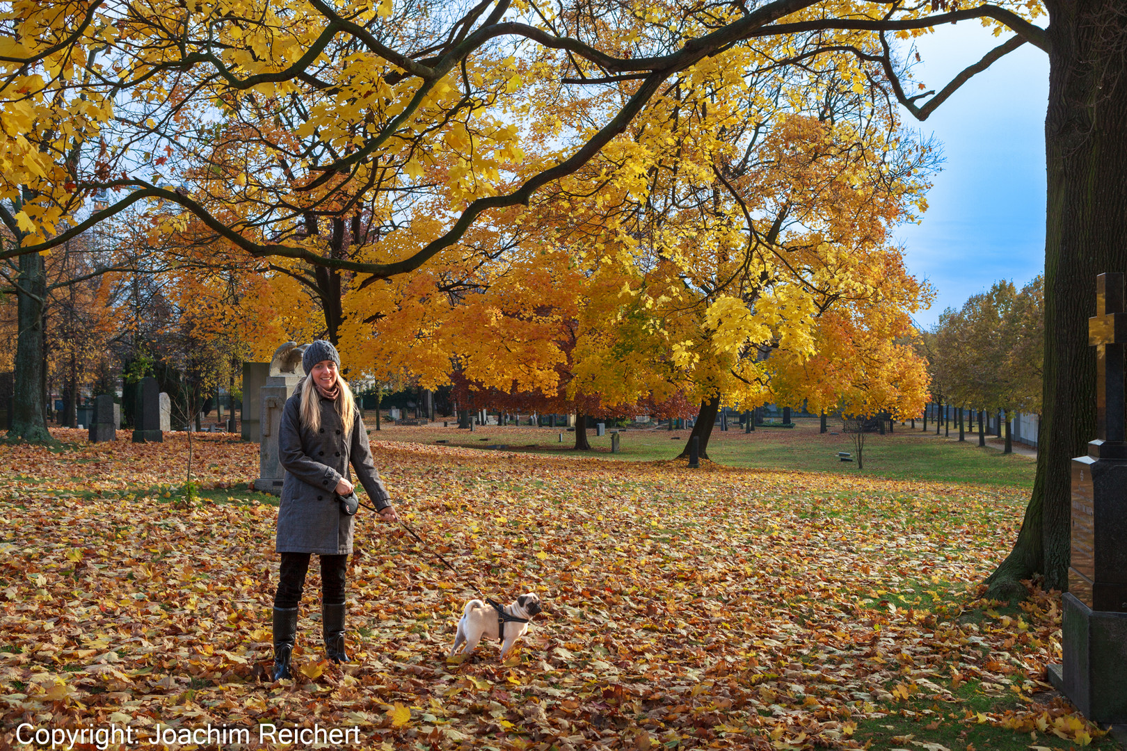 Herbst