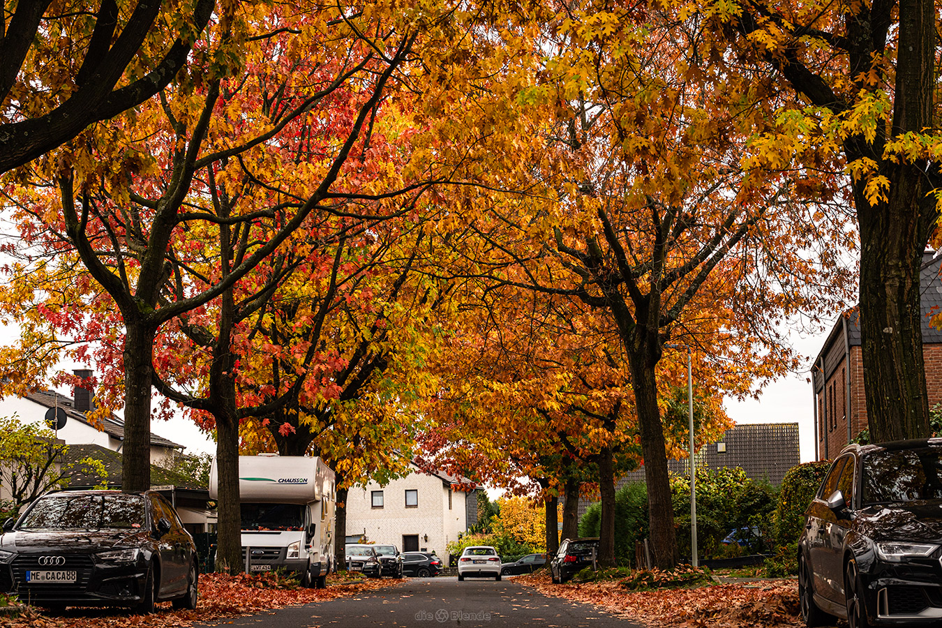 Herbst