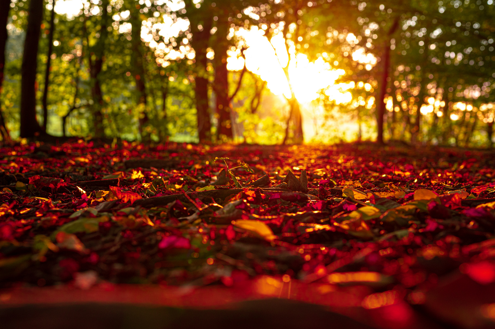 Herbst