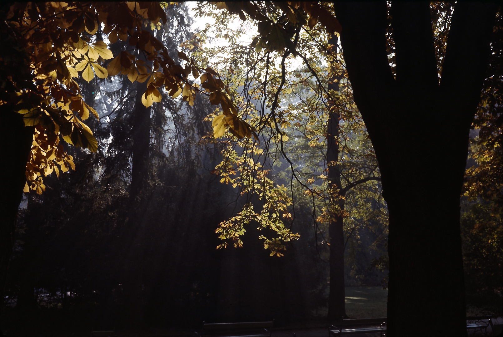 Herbst