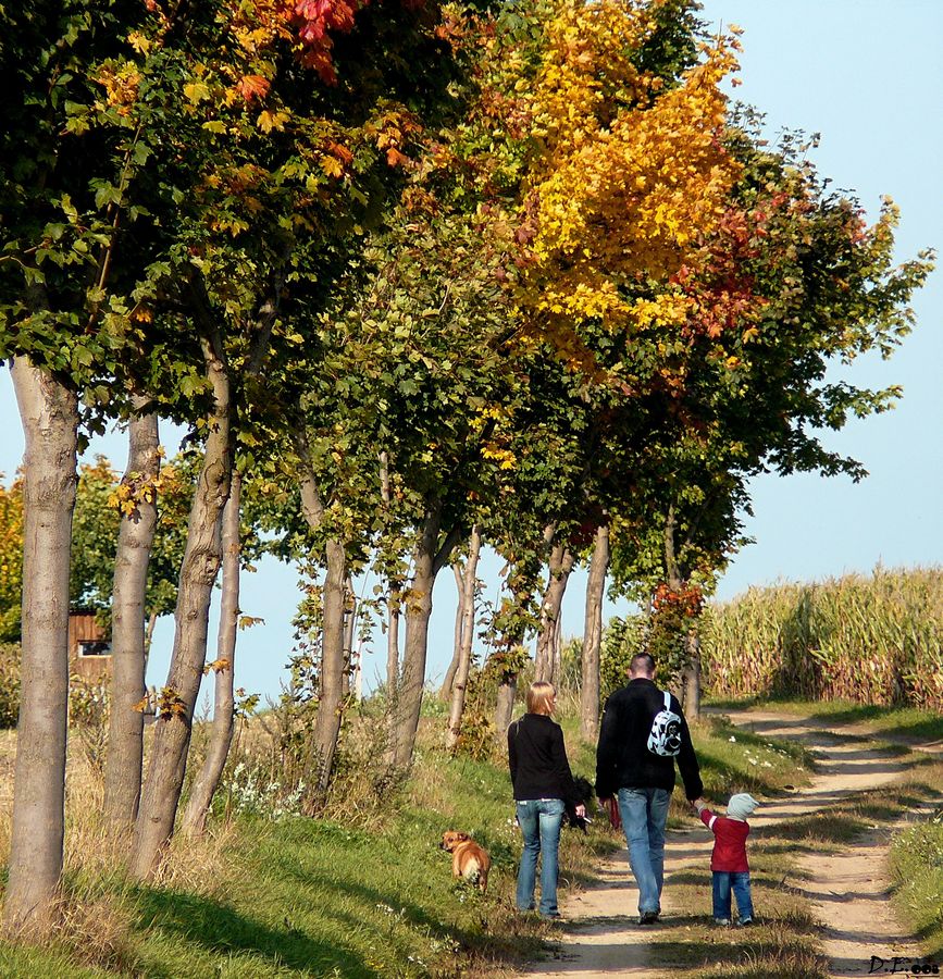 ~Herbst~