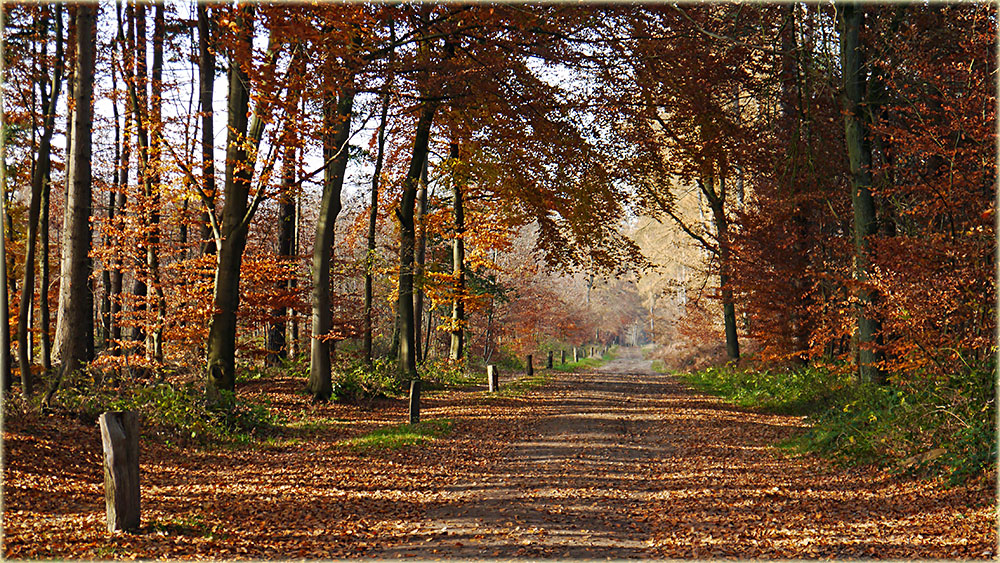 Herbst