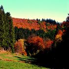 Herbst