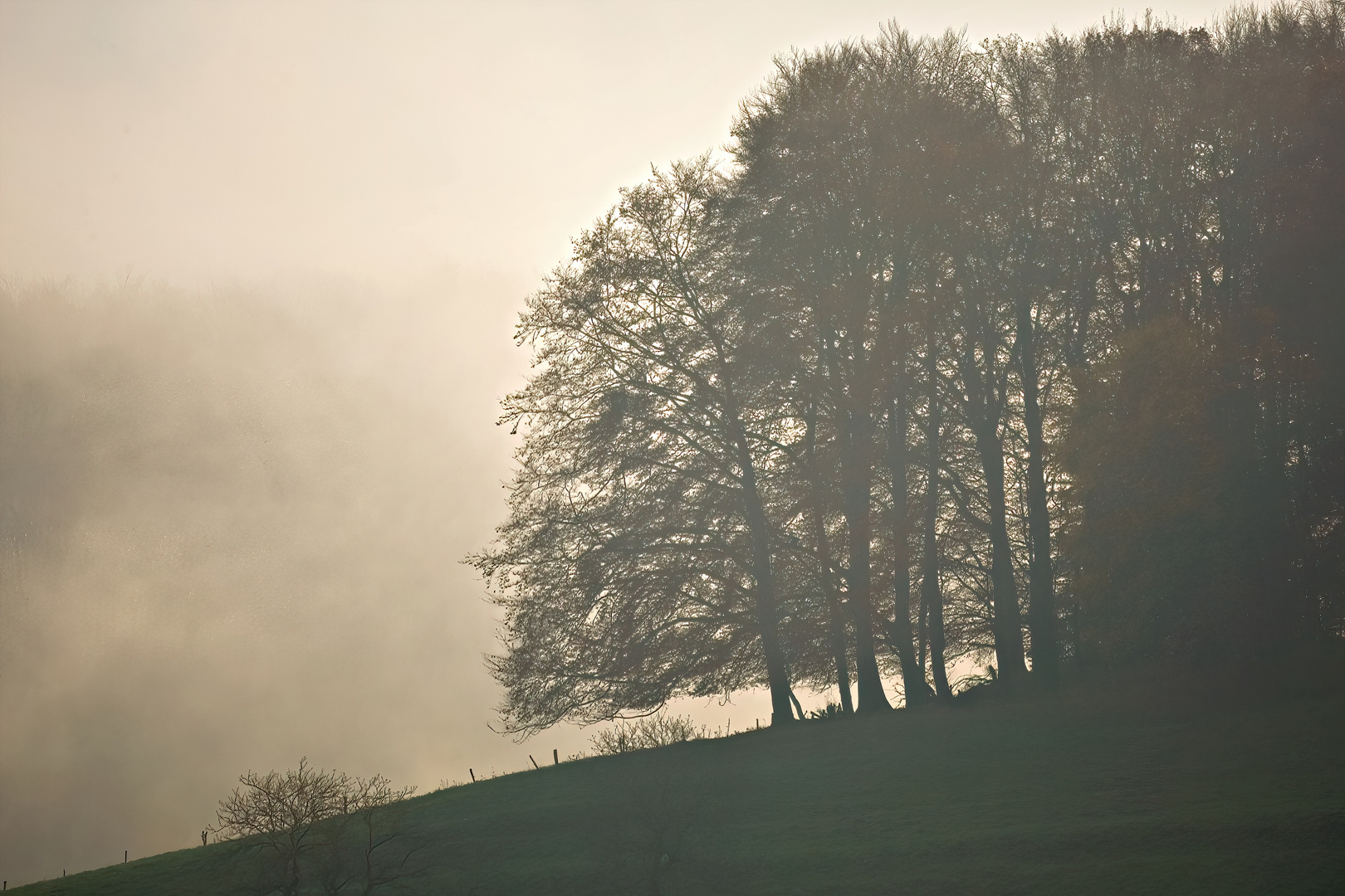 Herbst