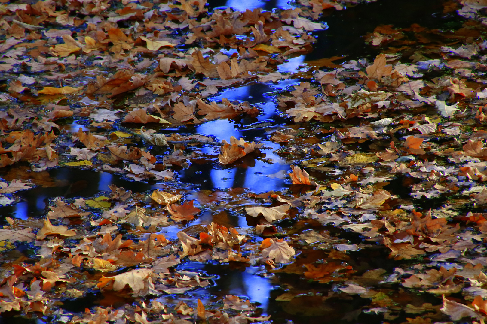 Herbst