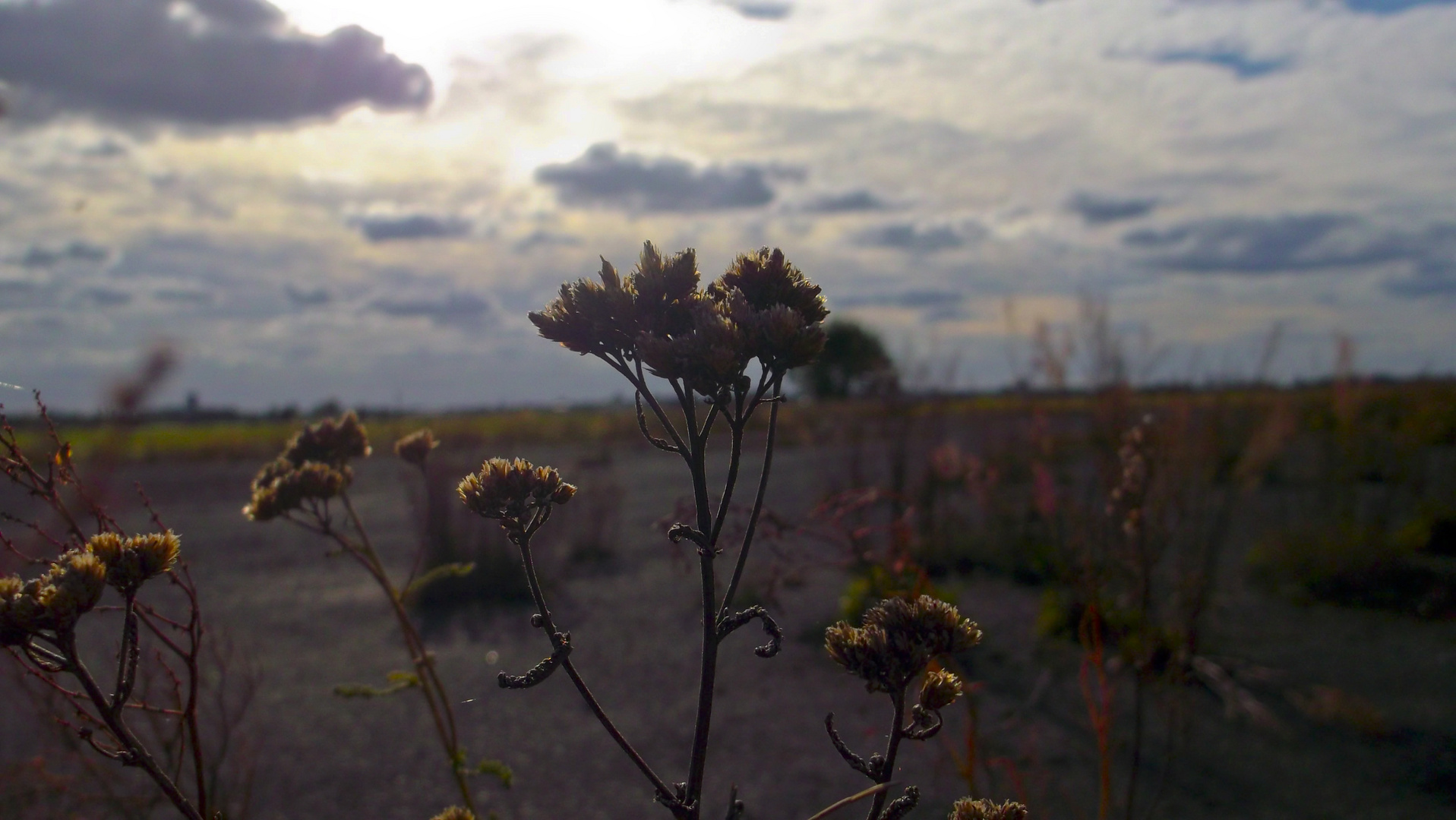 Herbst