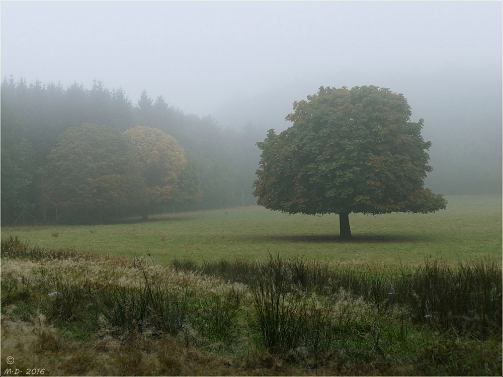 * Herbst *