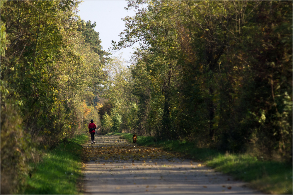 herbst