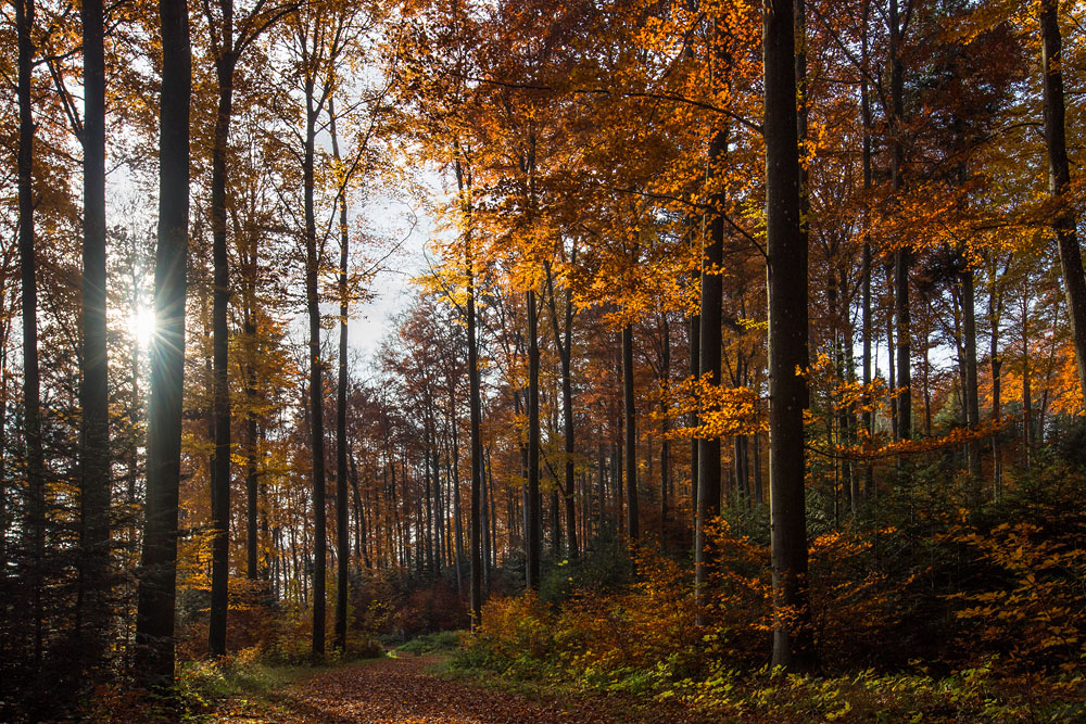 Herbst...