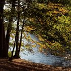 Herbst 7 am Schmalensee