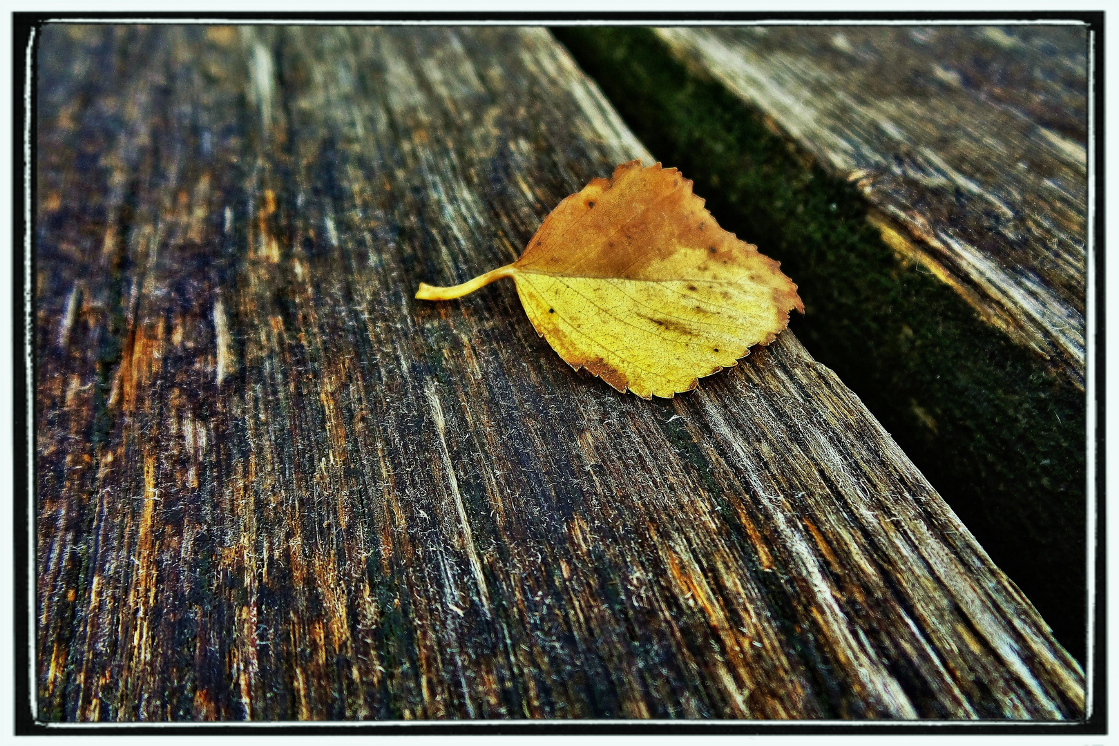 Herbst