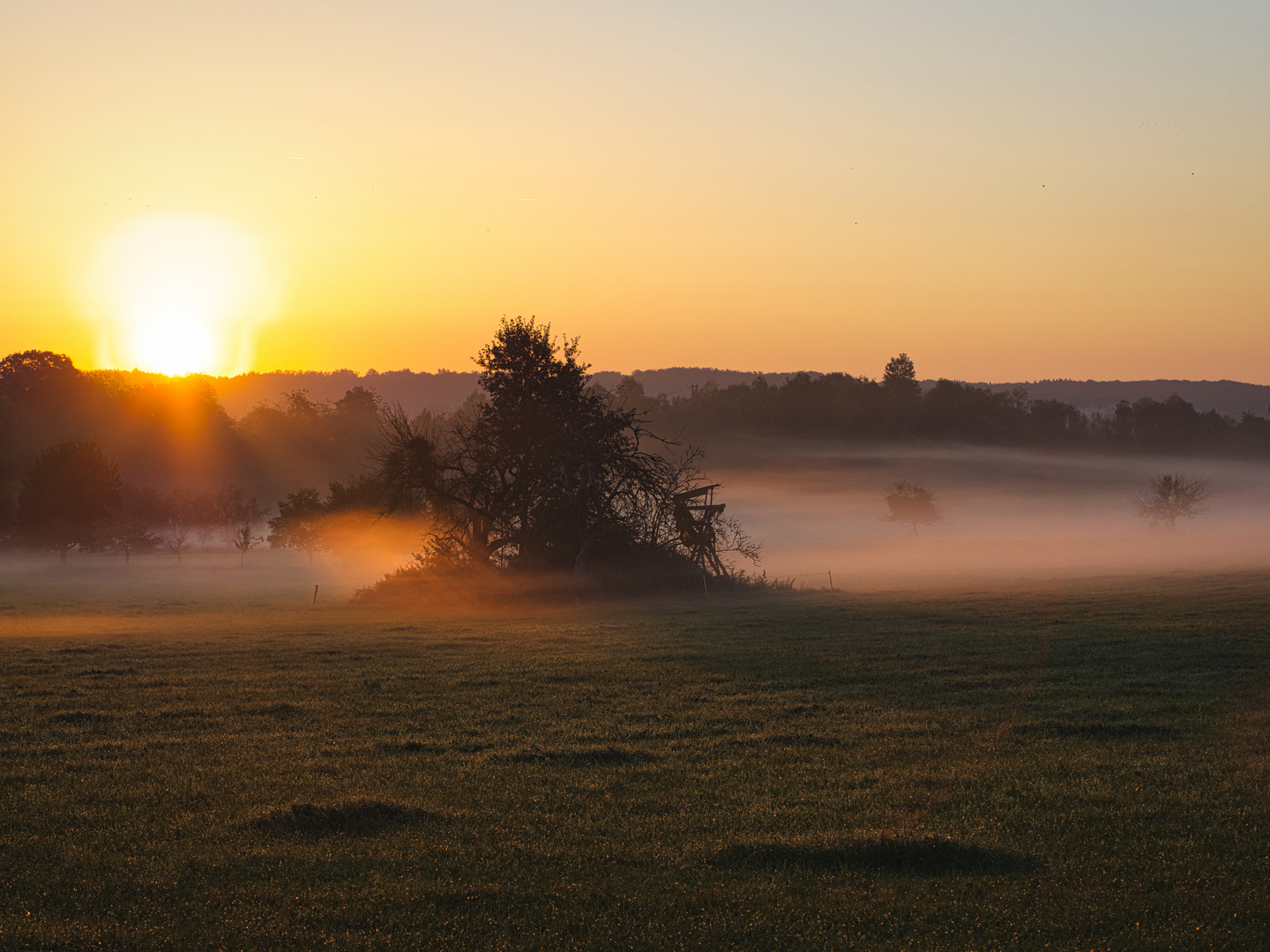 Herbst