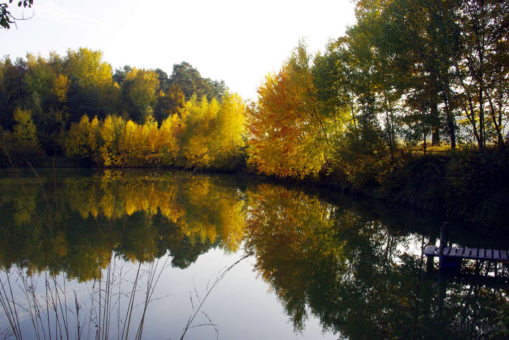 Herbst