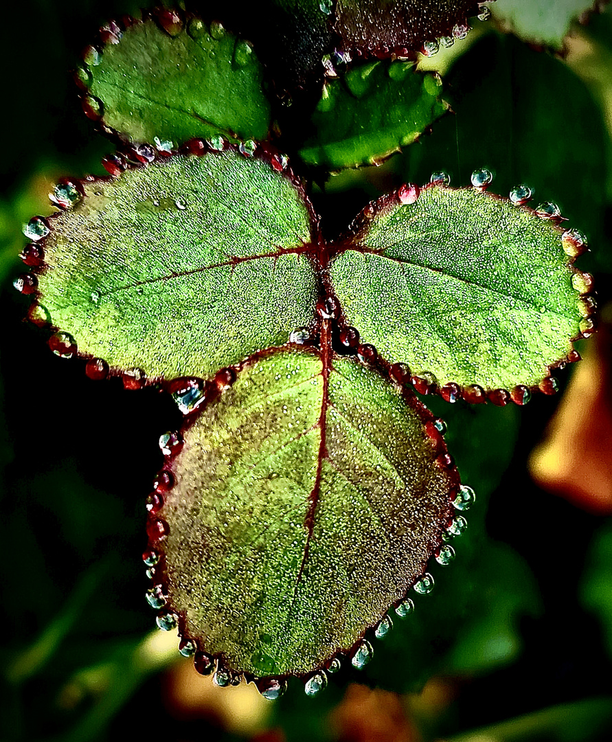 *Herbst*