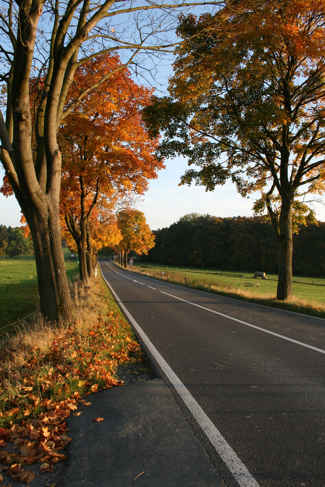 Herbst von Waldemar Eichhorst 