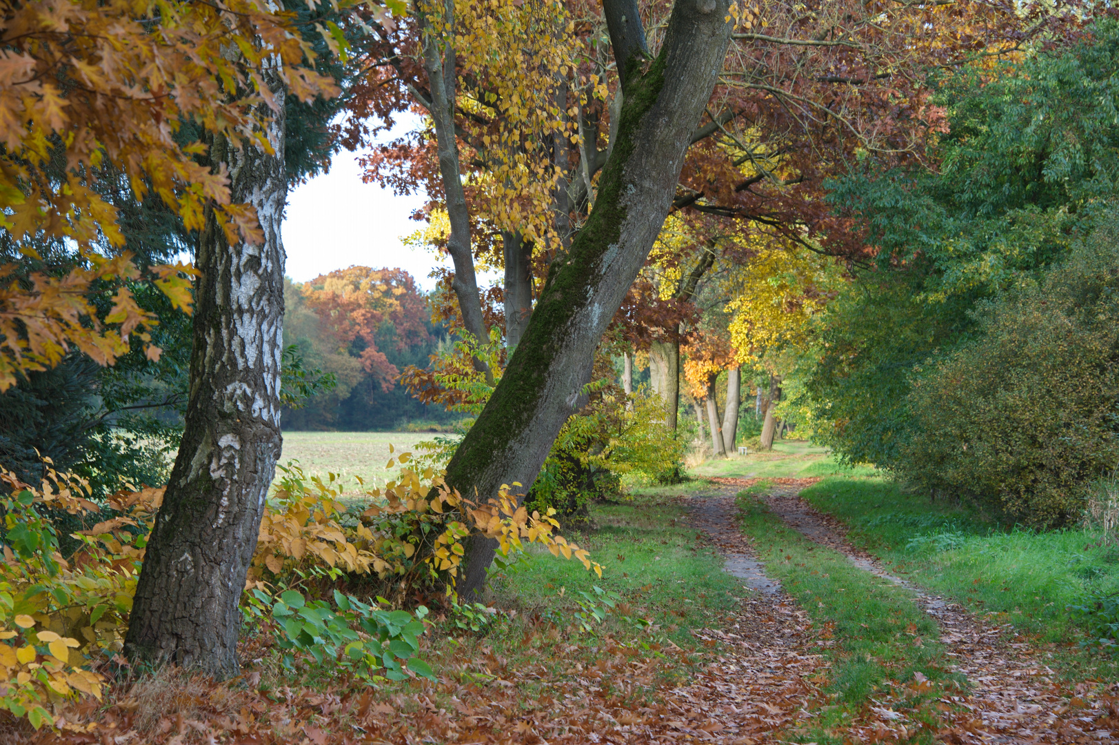 Herbst