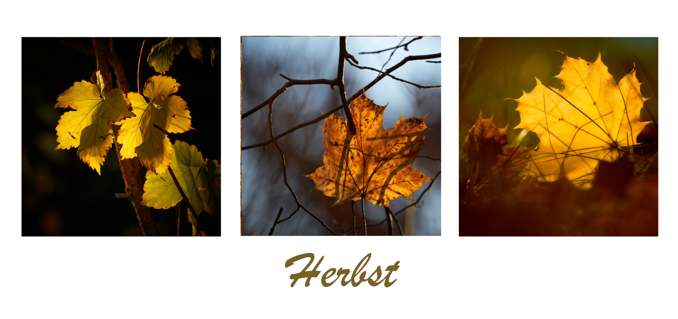 Herbst