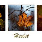 Herbst