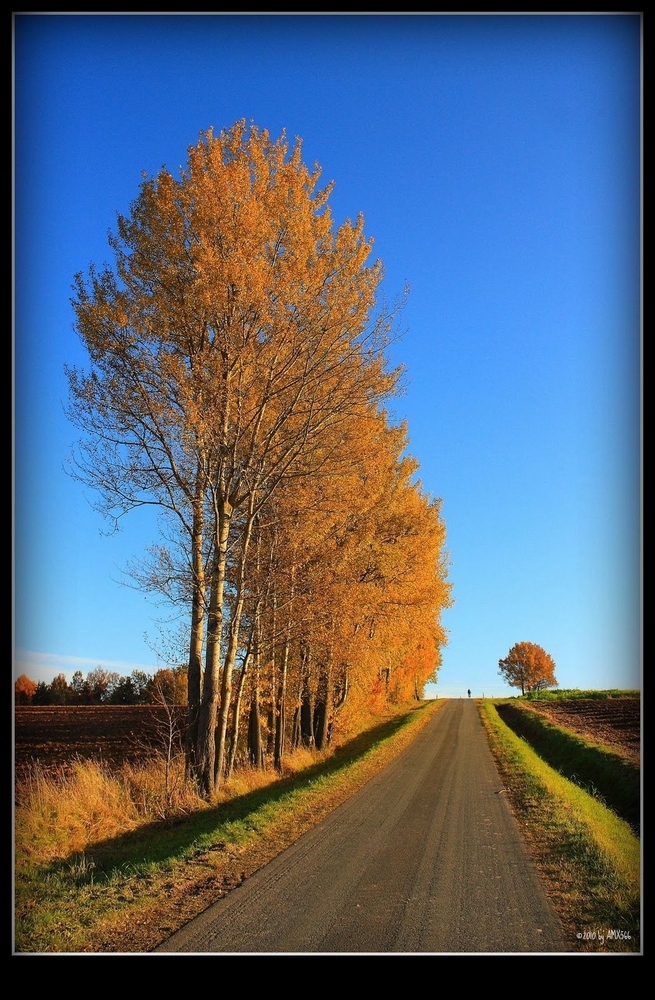 Herbst