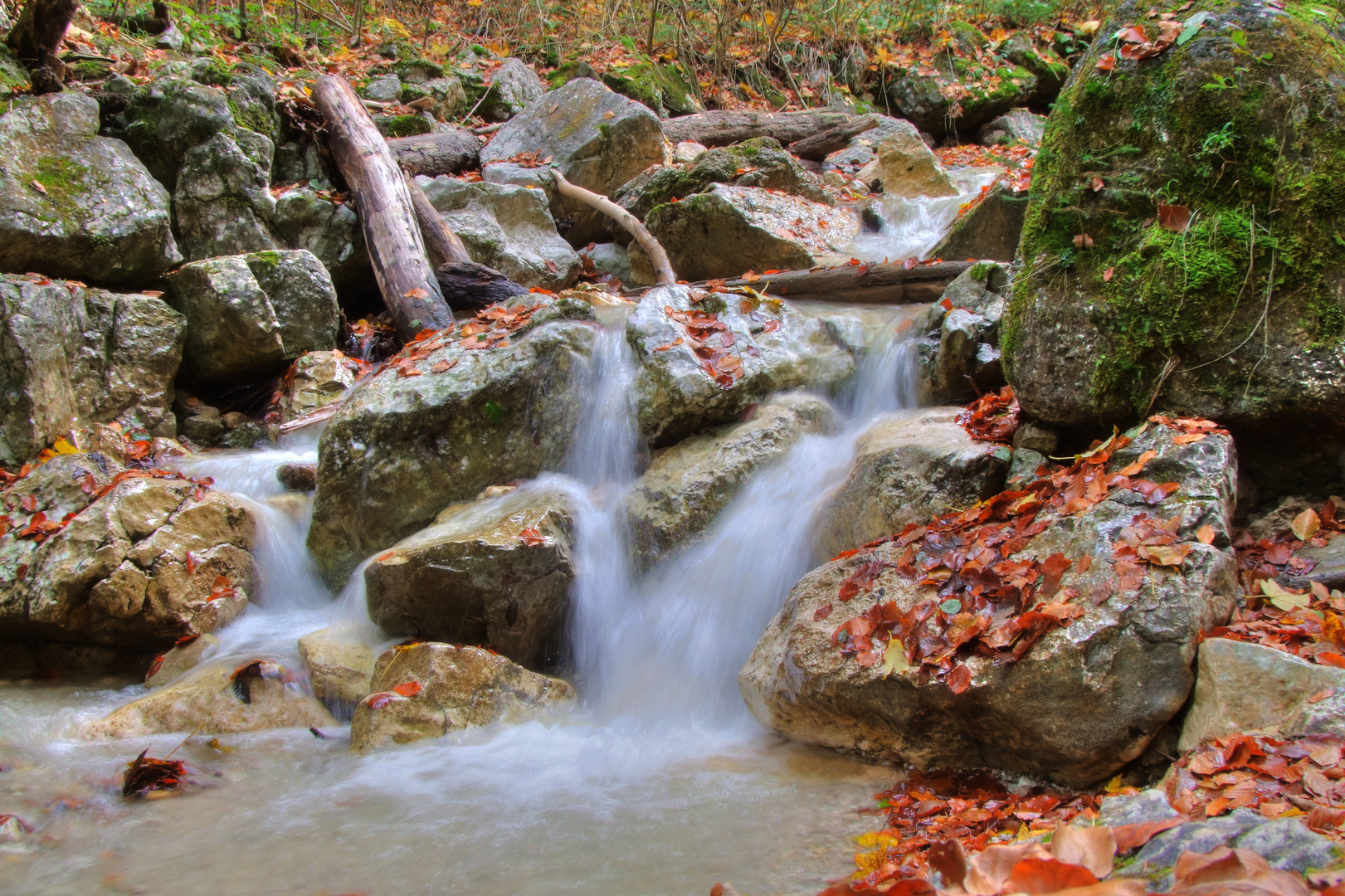 Herbst