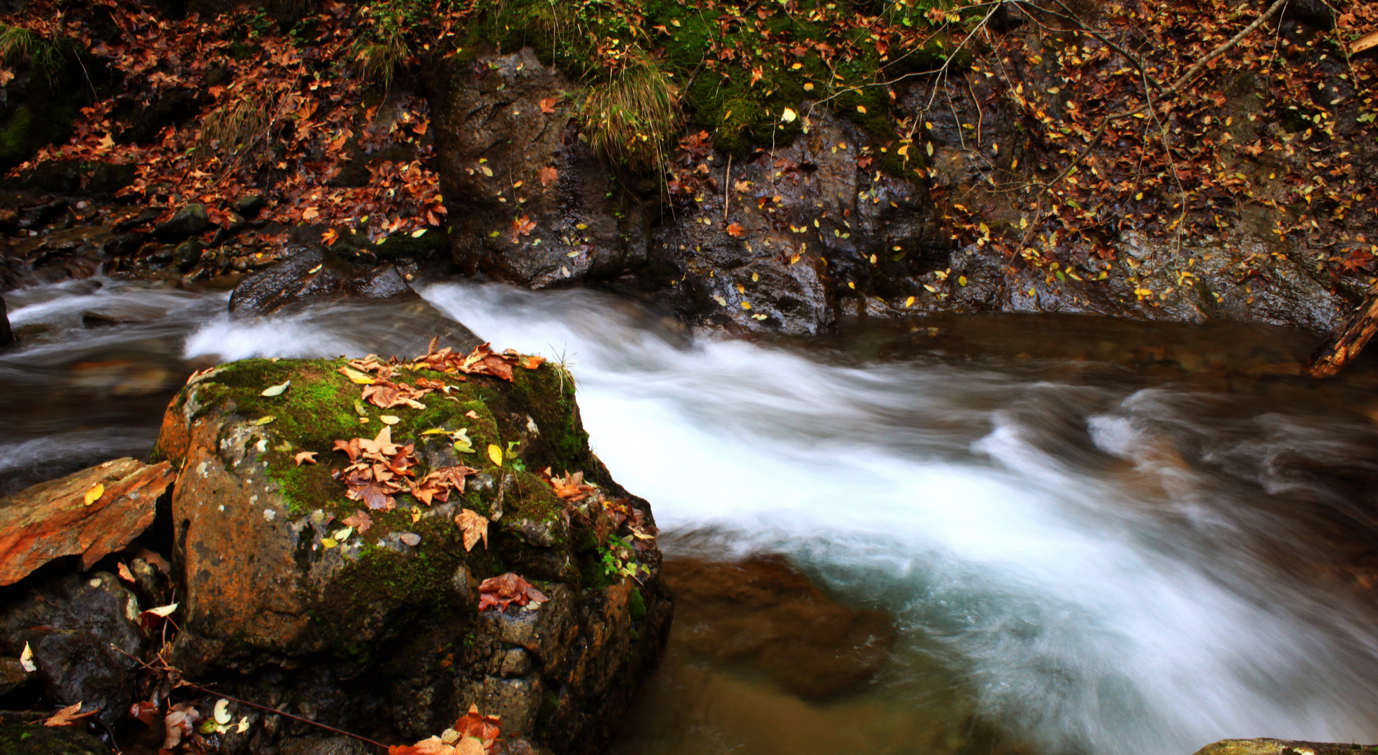 Herbst