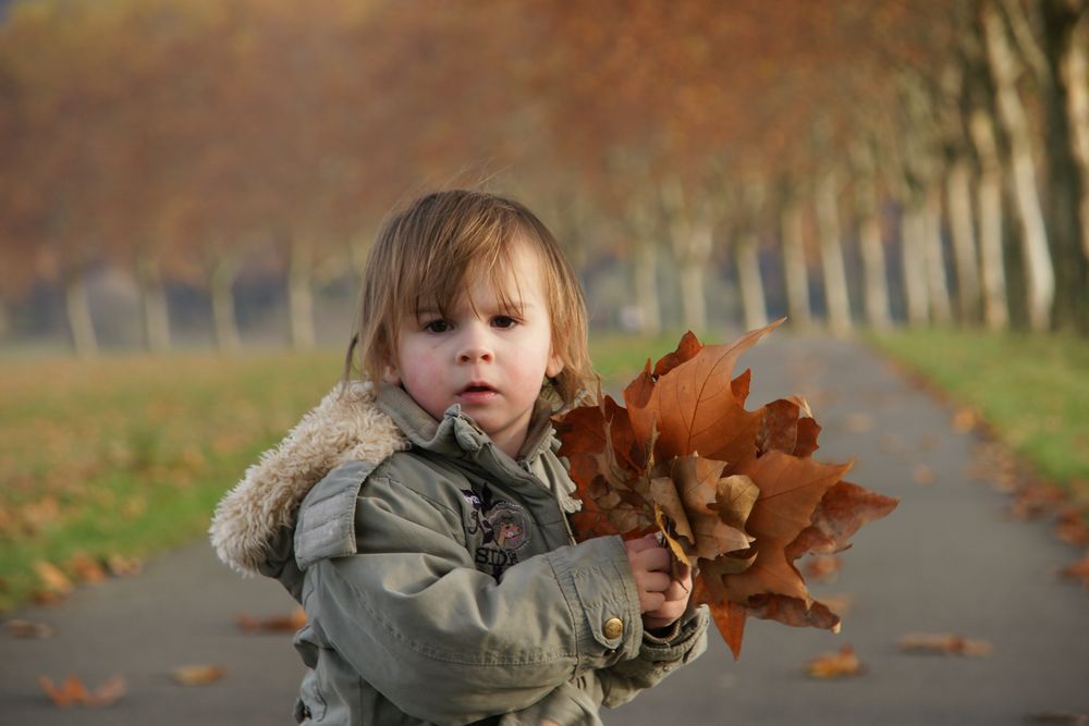 Herbst