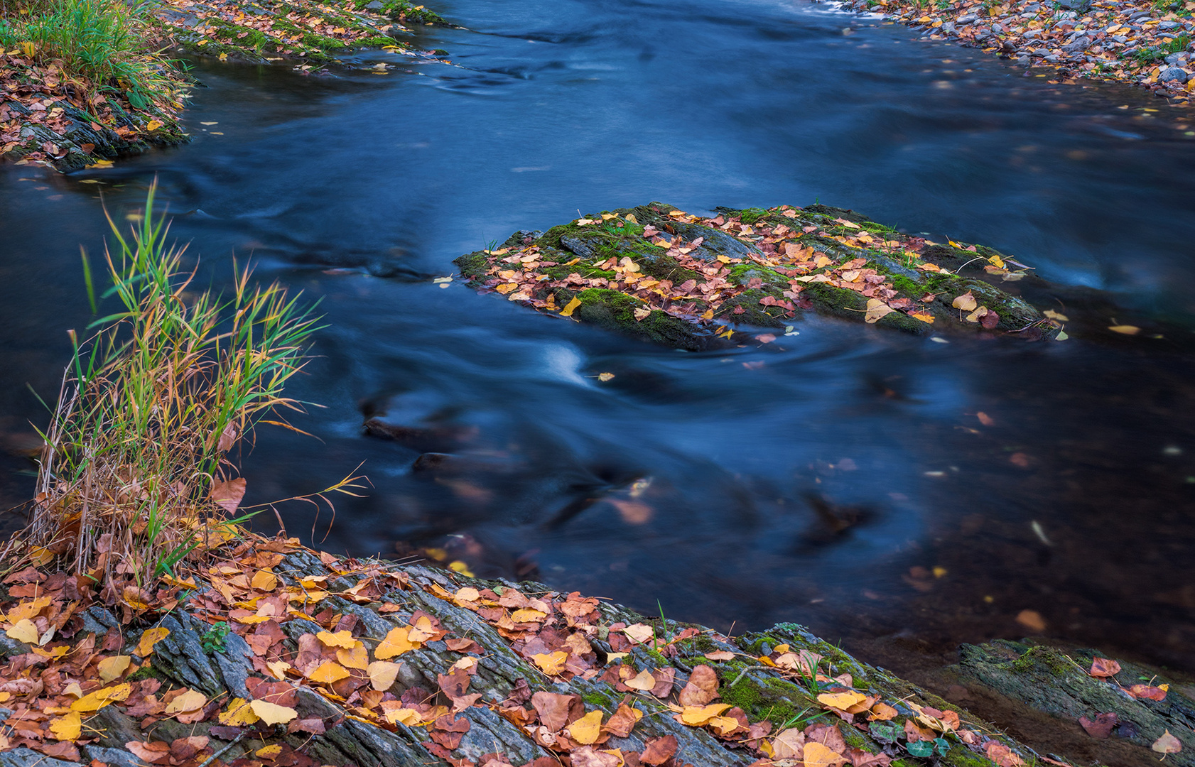 Herbst