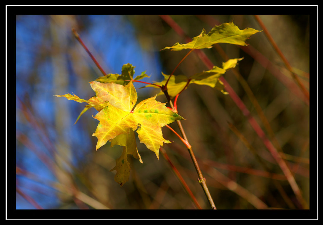 Herbst ...