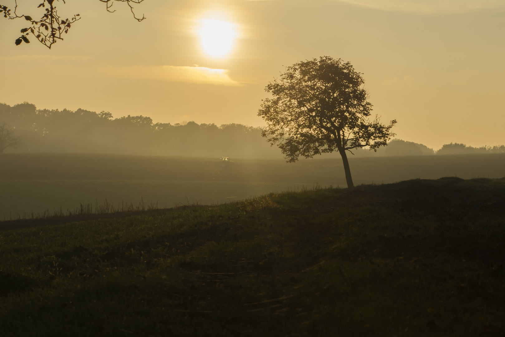 Herbst