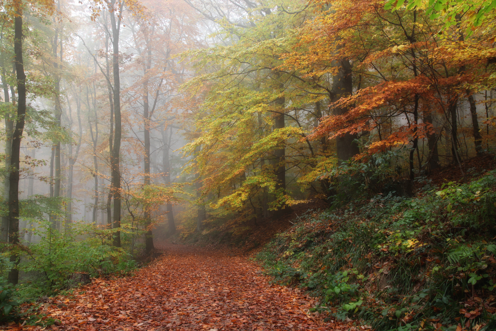 Herbst